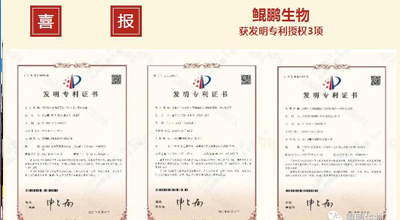 FUN88生物 | 核心平台技术获得中国发明专利