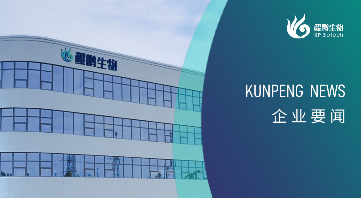 宁波FUN88新添两项政府荣誉认定 创新发展再获认可